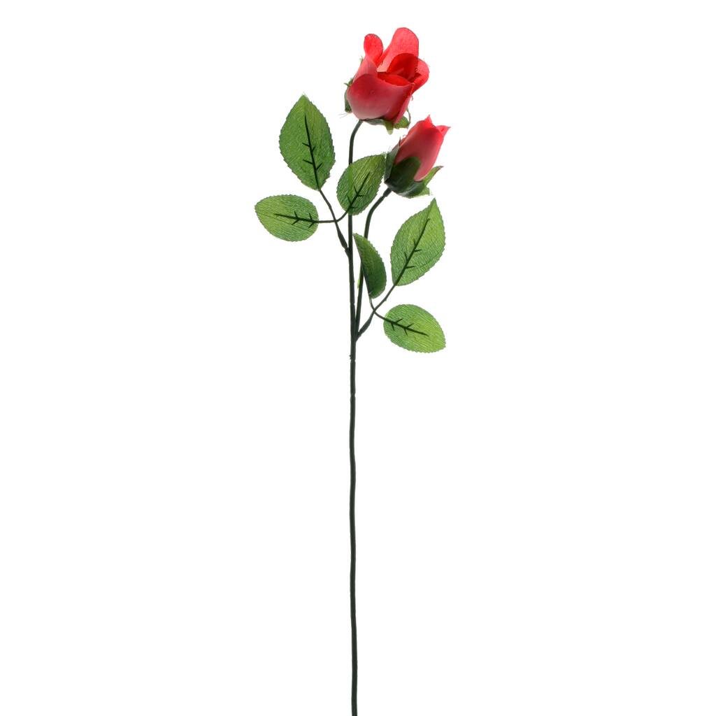 10263016.jpg img